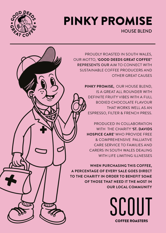 PINKY PROMISE | Chocolate • Caramel • Summer Berries • Vanilla