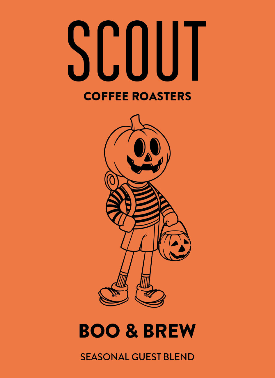 Scout Coffee Brew & Boo guest blend bag â Halloween seasonal coffee with toffee apple, chocolate hazelnut, glacĂŠ cherry, and amaretto notes.