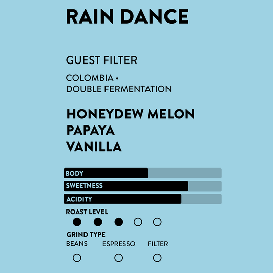Rain Dance - Guest Filter | Honeydew Melon • Papaya • Vanilla