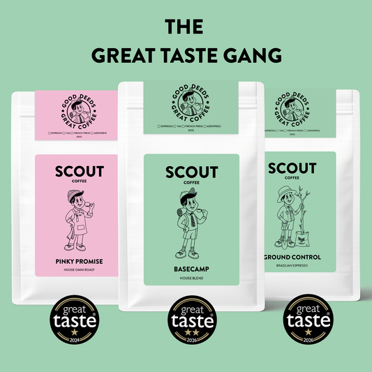 Three stand-up coffee bags from Good Deedy Great Coffee are displayed against a light green background with the headline 'THE GREAT TASTE GANG.' The bags are labeled Scout Coffee, with three flavor variants shown: Pinky Promise on a pink panel, Basecamp on a mint green panel, and Ground Control on a white panel.