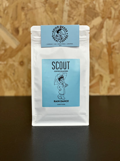 Rain Dance - Guest Filter | Honeydew Melon • Papaya • Vanilla