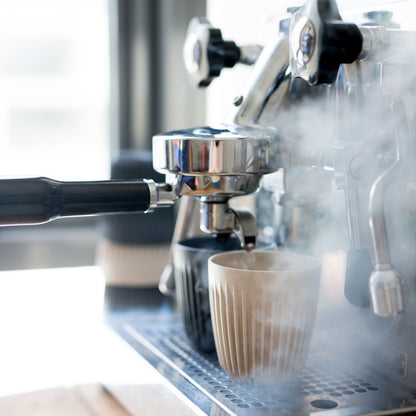 HUSKEE CUP & LID NATURAL - 12OZ/36CL (4 PACK)