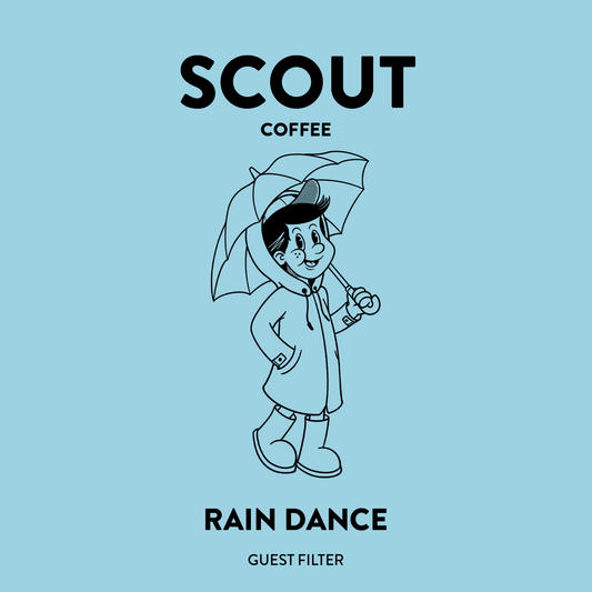 Rain Dance - Guest Filter | Honeydew Melon • Papaya • Vanilla