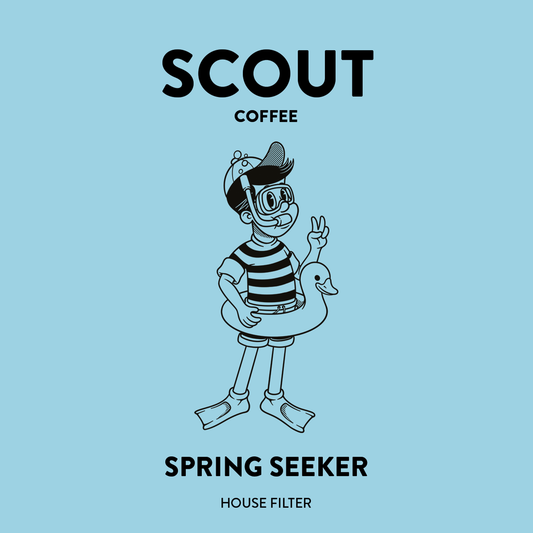 Spring Seeker | Blackcurrant • Maple • Vanilla