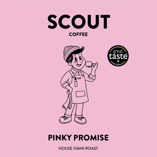 Pinky Promise House Omni Roast | Chocolate • Caramel • Blackcurrant • Vanilla