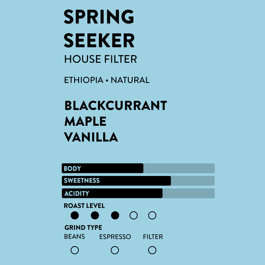 Spring Seeker | Blackcurrant • Maple • Vanilla